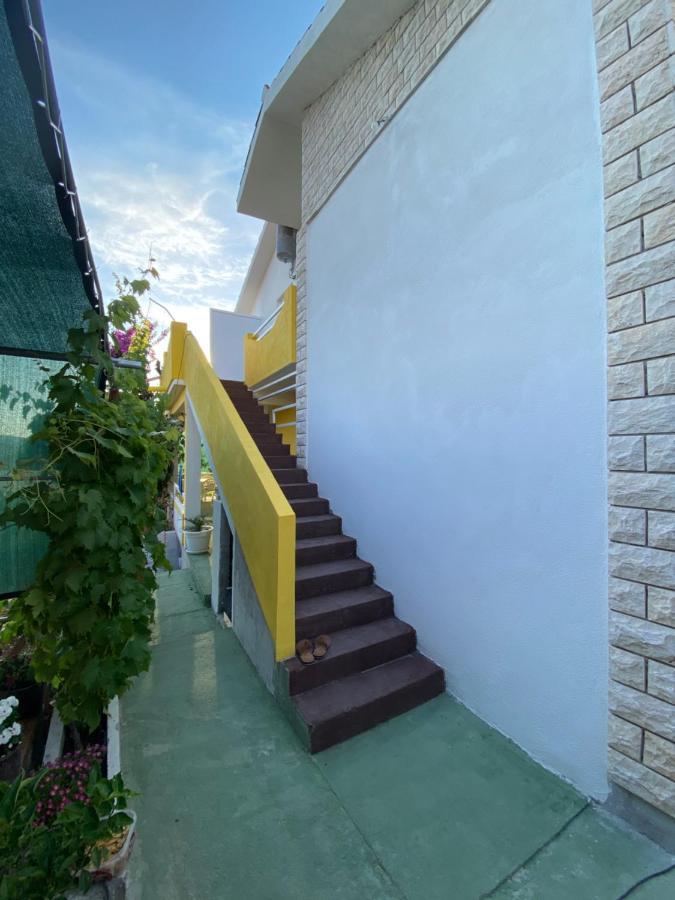 Apartment Elena Donji Okrug  المظهر الخارجي الصورة