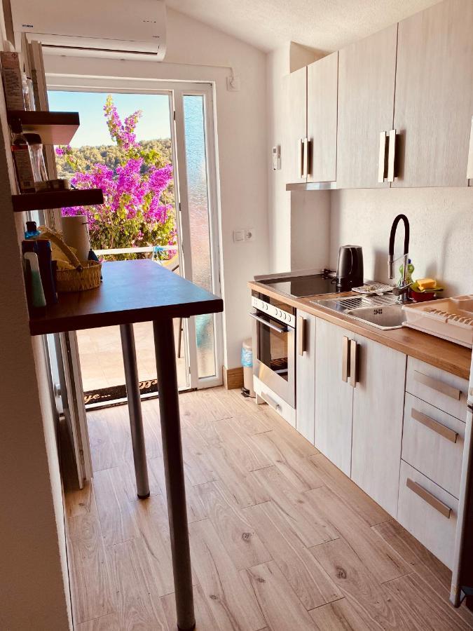 Apartment Elena Donji Okrug  المظهر الخارجي الصورة
