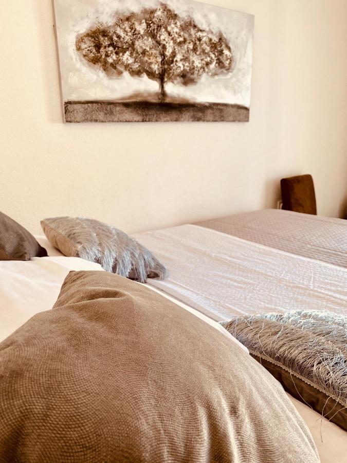 Apartment Elena Donji Okrug  المظهر الخارجي الصورة