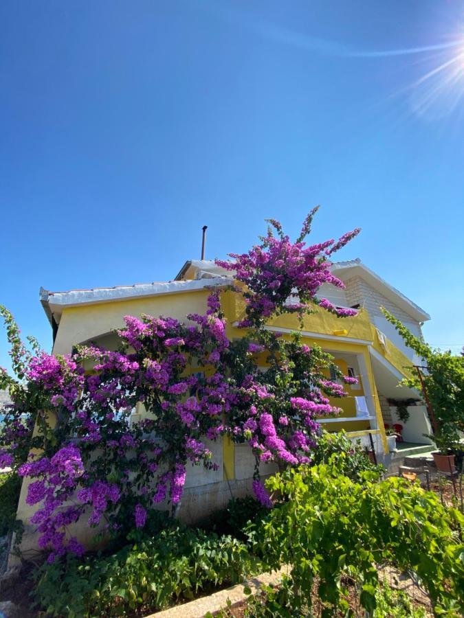 Apartment Elena Donji Okrug  المظهر الخارجي الصورة
